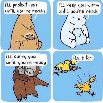 Прикрепленное изображение: 299492818_3333256040230827_8106840144939427416_n.jpg